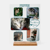 Simple Mémorial pour Animal de Compagnie Transpare (Recto)