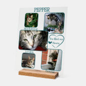 Simple Mémorial pour Animal de Compagnie Transpare (Angle)