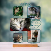 Simple Mémorial pour Animal de Compagnie Transpare (Neutre)