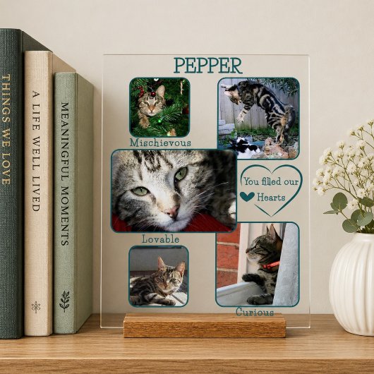 Simple Mémorial pour Animal de Compagnie Transpare