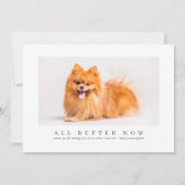 Simple Moderne Custom Pet Photo Bedankt Veterinari (Voorkant)