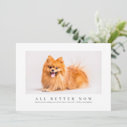 Simple Moderne Custom Pet Photo Bedankt Veterinari (Staand voorkant)