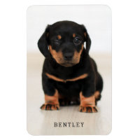 Simple Moderne Full Photo Dog Pet | Zwart