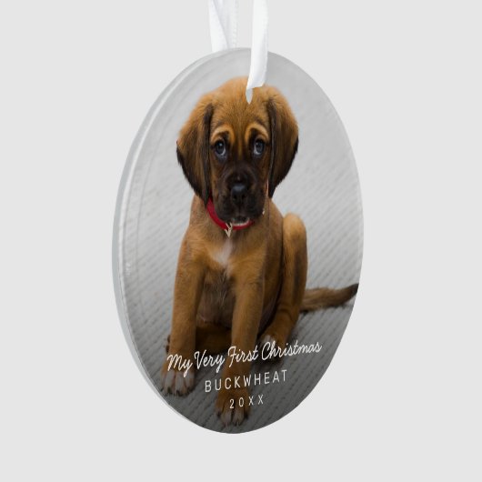 Simple moderne photo Chiot Premier Noël (devant)