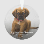 Simple moderne photo Chiot Premier Noël (dos)