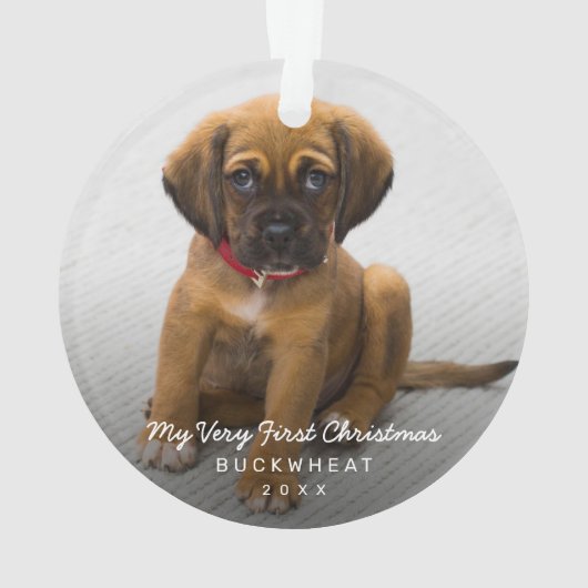 Simple moderne photo Chiot Premier Noël (dos)