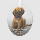 Simple moderne photo Chiot Premier Noël (devant)