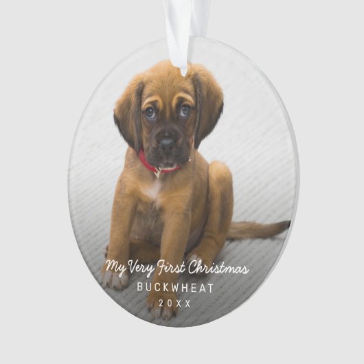 Simple moderne photo Chiot Premier Noël (devant)