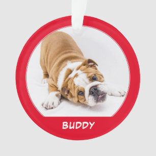 Simple Red Dog Pet Nom de la photo Vacances Keepsa