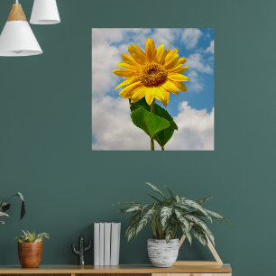Simple Sunflower Floral Botanical Photography Canv Poster