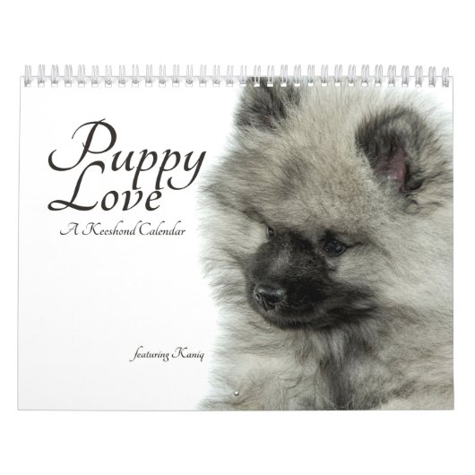 Simplement calendrier de chiot de Keeshond d'amour (Protection)