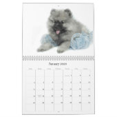 Simplement calendrier de chiot de Keeshond d'amour (Jan 2026)