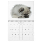 Simplement calendrier de chiot de Keeshond d'amour (Mar 2026)