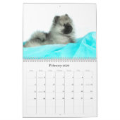 Simplement calendrier de chiot de Keeshond d'amour (Feb 2026)