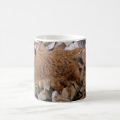 Simplement Meerkats Mug (Centre)