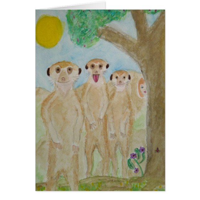 simples kats (Devant)