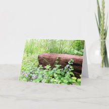 Simply Nature - Carte de voeux vierge