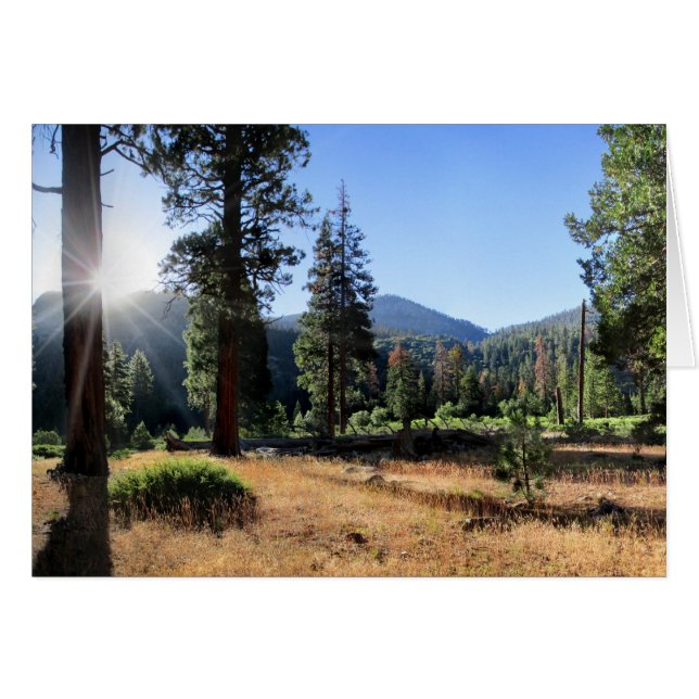 Simpson Meadow - Sierra (Devant horizontal)
