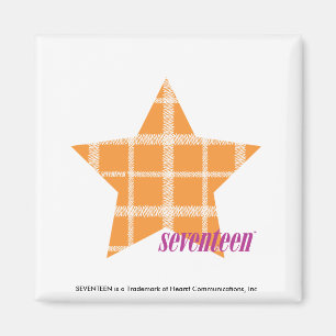 Sinaasappel 2 magneet
