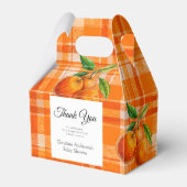 Sinaasappel 3D Citrus Plaid Handgetrokken Baby sho Bedankdoosjes (Achterkant)