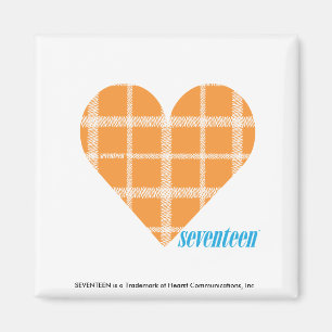 Sinaasappel 4 magneet