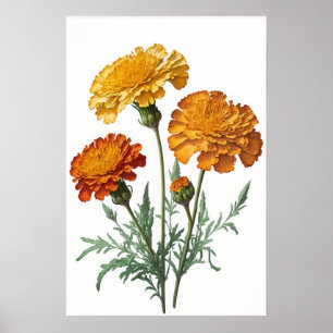 Sinaasappel Afrikaantje Bloemen Kunstprint Poster