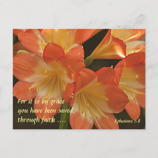 Sinaasappel Amaryllis Briefkaart