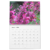 Sinaasappel Amaryllis Kalender (Mar 2026)
