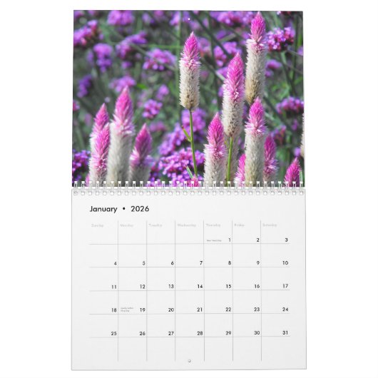 Sinaasappel Amaryllis Kalender (Jan 2026)