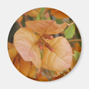 Sinaasappel Bougainvillea Magnet Magneet