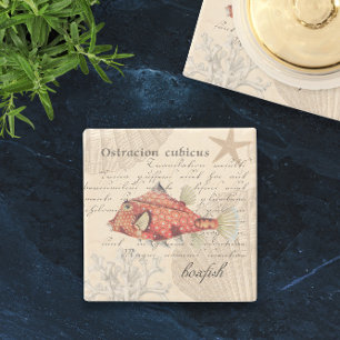 🐠 Sinaasappel Boxfish Illustratie Nautisch Stenen Onderzetter