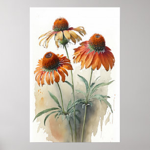 Sinaasappel Coneflowers Art Print Poster