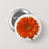 Sinaasappel Daisy Button (Voorkant /achterkant)