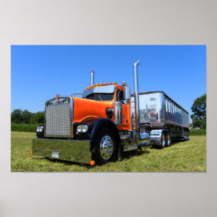 Sinaasappel en Chrome Poster