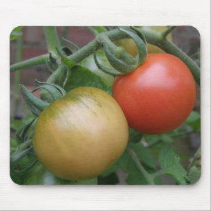 Sinaasappel en rode tomaten Mousepad Muismat