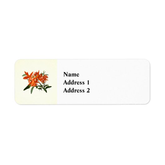 Sinaasappel Epidendrum Orchidee Etiket (Voorkant)