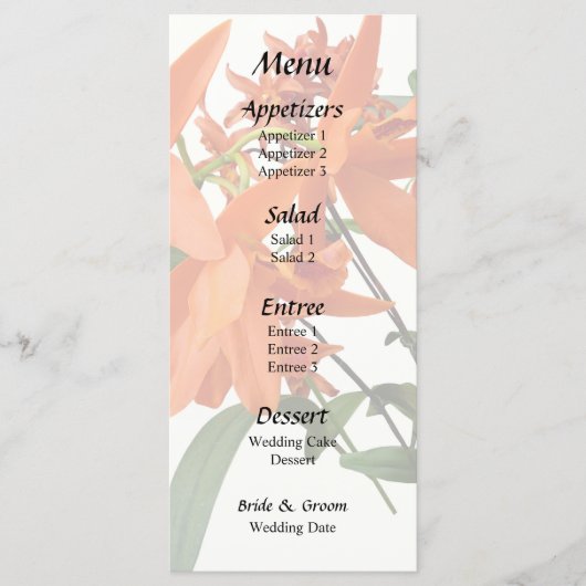 Sinaasappel Epidendrum Orchidee Menu (Voorkant)