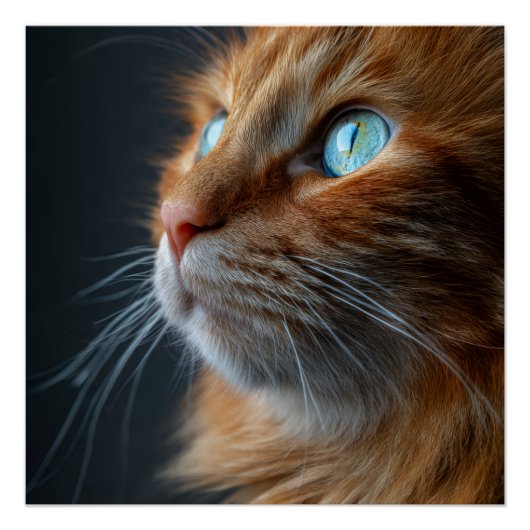Sinaasappel Gember Tabby Kat Vintage Stijl Portret Perfect Poster (Voorkant)