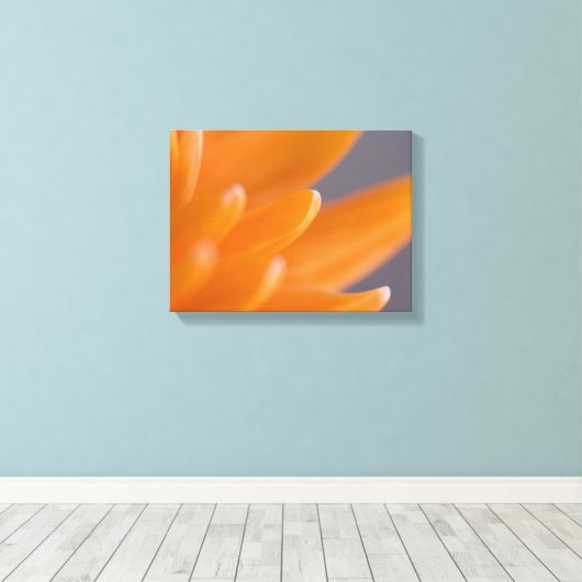 Sinaasappel Gerber Daisy Petals Canvas Afdruk (Insitu (Houten vloer))