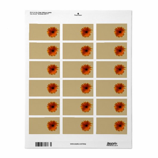 Sinaasappel Gerbera Daisy Blank Bruiloft Adresetik Etiket (Full Sheet)