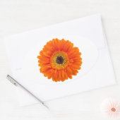 Sinaasappel Gerbera Daisy Ovale Sticker (Envelop)
