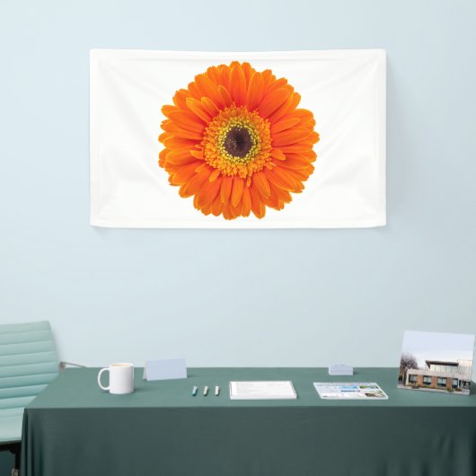 Sinaasappel Gerbera Daisy Spandoek (Beurs)