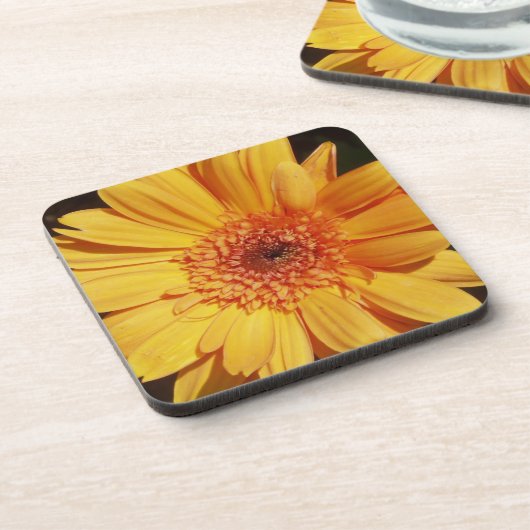 Sinaasappel Gerbera Onderzetters (Linkerzijde)