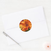 Sinaasappel Gerbera Ronde Sticker (Envelop)