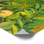 Sinaasappel Groves Snow Capped Mount Baldy begin j Poster (Hoek)