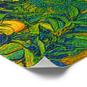 Sinaasappel Groves Snow Capped Mount Baldy begin j Poster (Hoek)