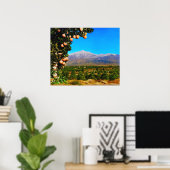 Sinaasappel Groves Snow Capped Mount Baldy begin j Poster (Thuiskantoor)