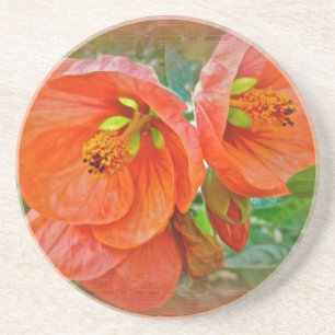 Sinaasappel Hibiscus Flowers Zandsteen Onderzetter