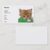 Sinaasappel Kitten Visitekaartje (Voorkant / Achterkant)