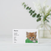 Sinaasappel Kitten Visitekaartje (Staand voorkant)